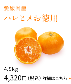 愛媛県産　ハレヒメお徳用