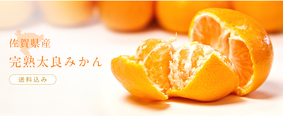 完熟太良みかん