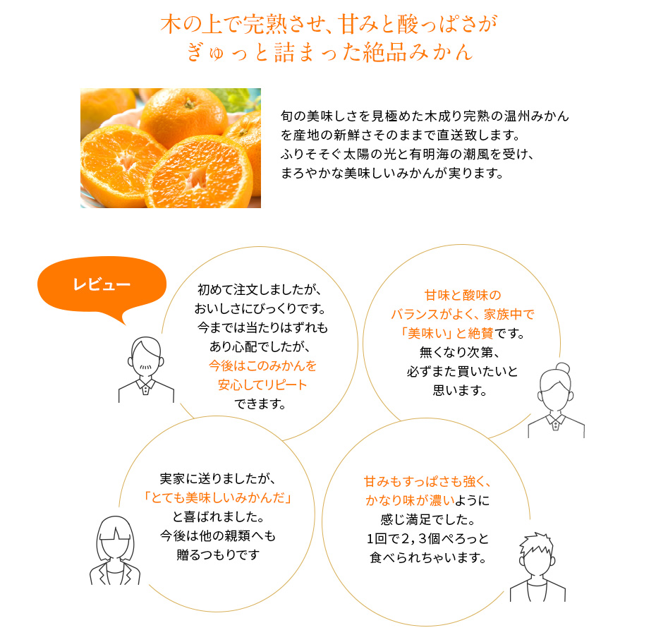 木の上で完熟させ、甘みと酸っぱさがぎゅっと詰まった絶品みかん