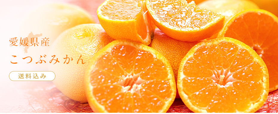 こつぶみかん