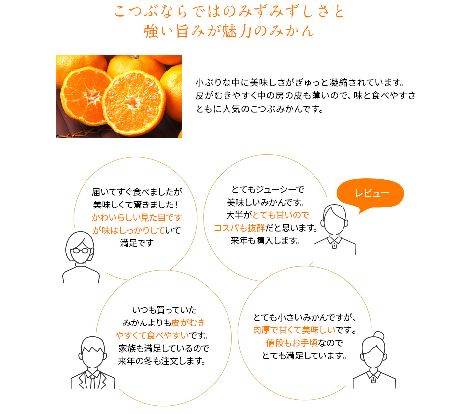 こつぶならではのみずみずしさと強い旨みが魅力のみかん