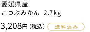 愛媛県産 こつぶみかん 2.7kg 3,208円