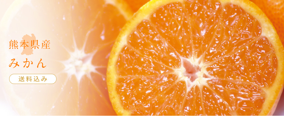 熊本県産みかん