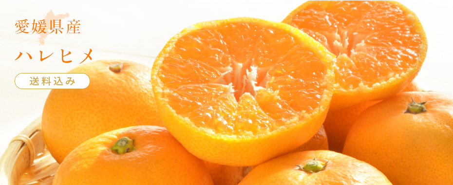 愛媛県産ハレヒメ