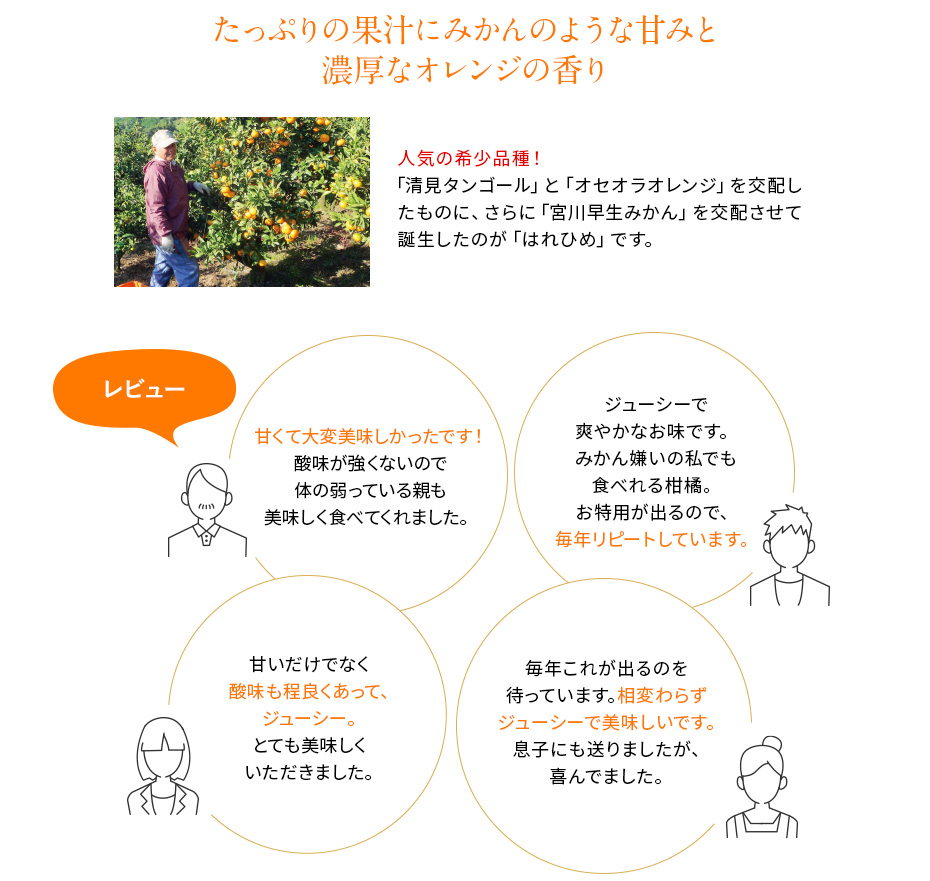 たっぷりの果汁にみかんのような甘みと濃厚なオレンジの香り