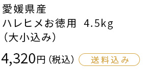 愛媛県産 ハレヒメお徳用 4.5kg（大小込み）4,320円