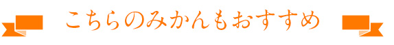 こちらのみかんもおすすめ