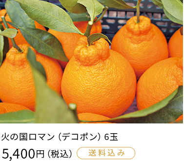 火の国ロマン（デコポン）6玉