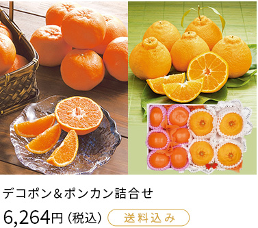 デコポン＆ポンカン詰合せ