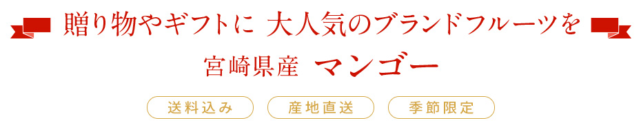 贈り物やご自宅用にブランドフルーツを宮崎県産マンゴー
