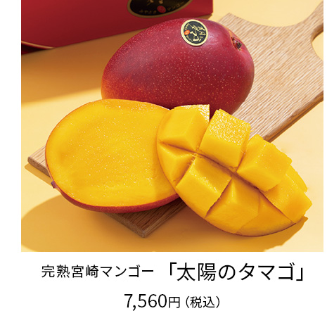 クリーミーで濃厚な甘みの完熟マンゴー　３Lサイズ