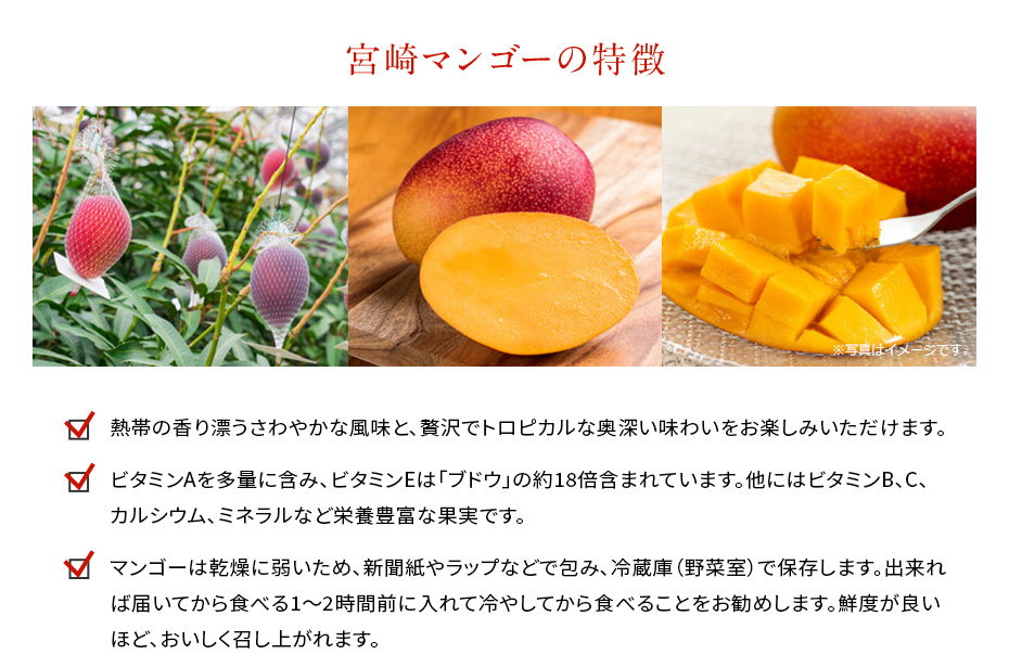 宮崎県産マンゴーの特徴