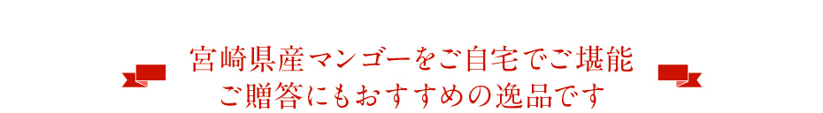 宮崎県産マンゴーをご自宅でご堪能 ご贈答にもおすすめの逸品です