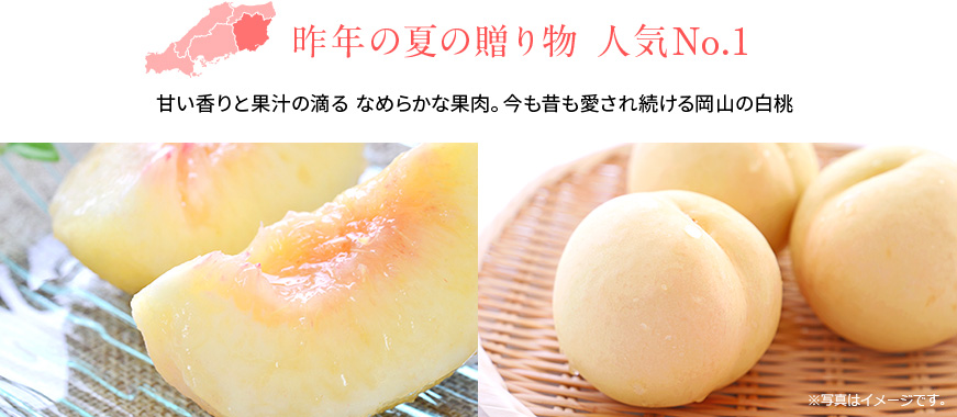 送料込み　産地直送　季節限定