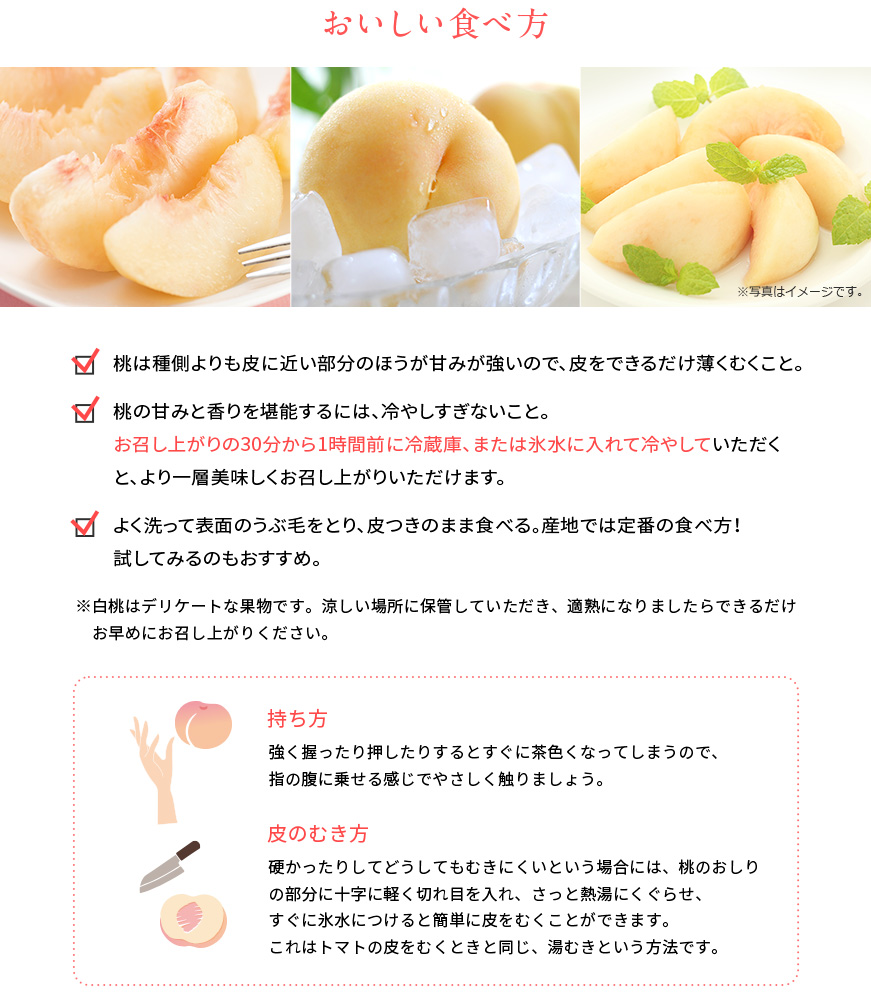 送料込み　産地直送　季節限定
