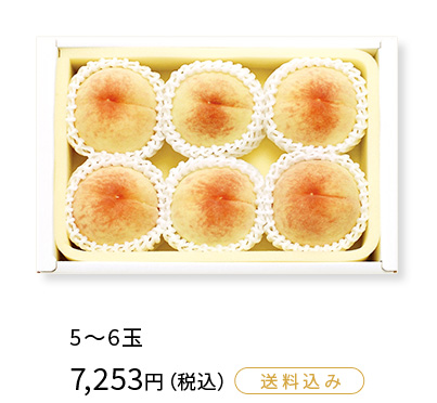 岡山の白桃（5～6玉）