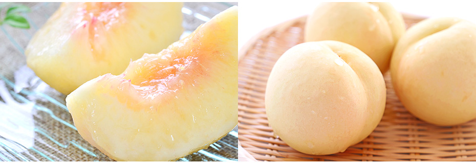 昨年の夏の贈り物　人気No,1 岡山県産白桃