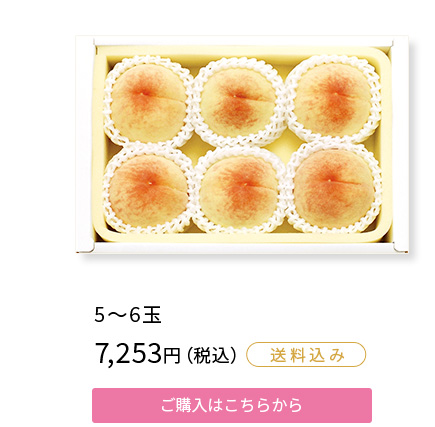 岡山の白桃（5～6玉）