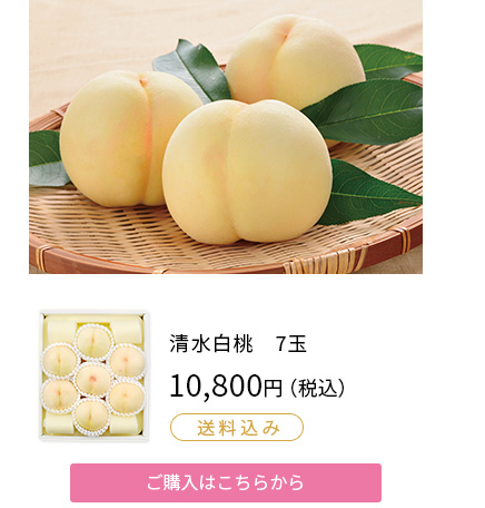 岡山県産　清水白桃