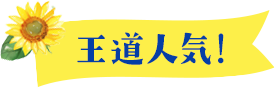 王道人気!