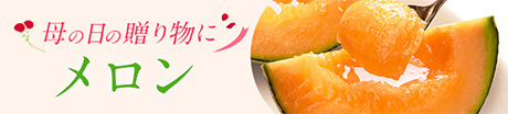 旬のフルーツギフト　メロン