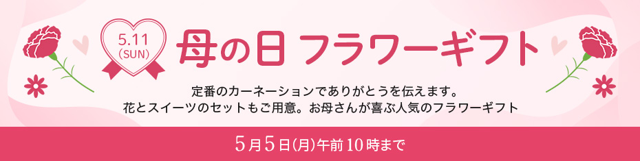母の日お花＆フラワーセットギフト