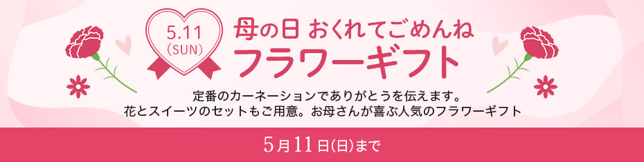 母の日お花＆フラワーセットギフト