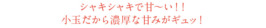 シャキシャキで甘～い！！小玉だから濃厚な甘みがギュッ！