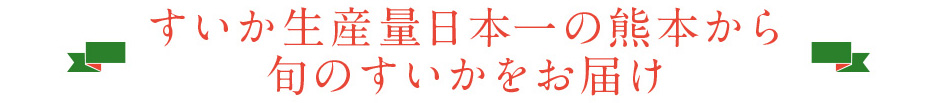 すいか生産量日本一の熊本から旬のすいかをお届け