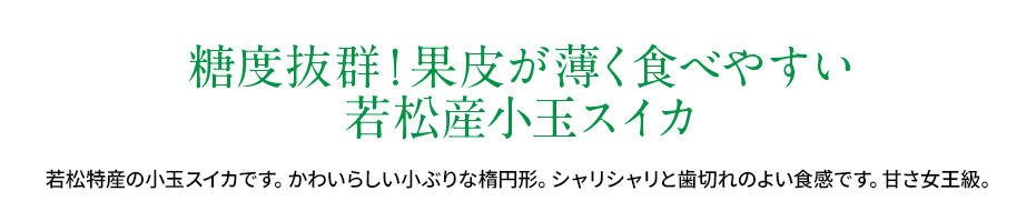 糖度抜群！果皮が薄く食べやすい 若松産小玉スイカ
