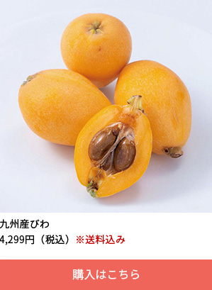 やさしい甘味とほのかな酸味の九州産びわ　１２～１５粒