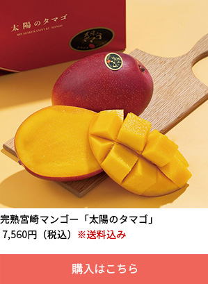 クリーミーで濃厚な甘みの完熟マンゴー　３Lサイズ