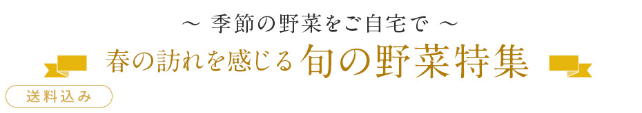 季節の野菜をご自宅で　春の訪れを感じる旬の野菜特集