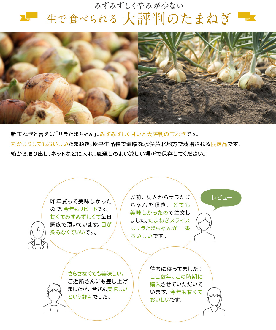みずみずしく辛みが少ない　生で食べられる大評判のたまねぎ