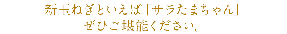 新玉ねぎといえば「サラたまちゃん」　ぜひご堪能ください。