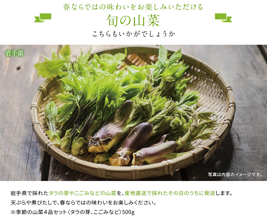 春ならではの味わいをお楽しみいただける旬の山菜　こちらもいかがでしょうか