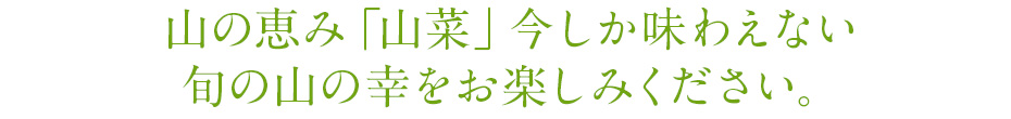 山の恵み「山菜」今しか味わえない　旬の山の幸をお楽しみください。
