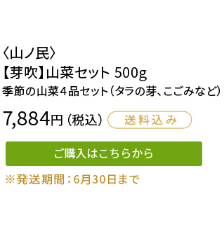＜山ノ民＞【芽吹】山菜セット500g　7,884円（税込）　ご購入はこちらから