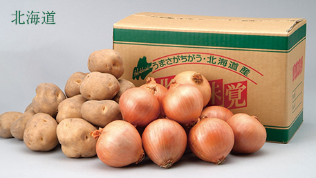 北海道 野菜2点セット