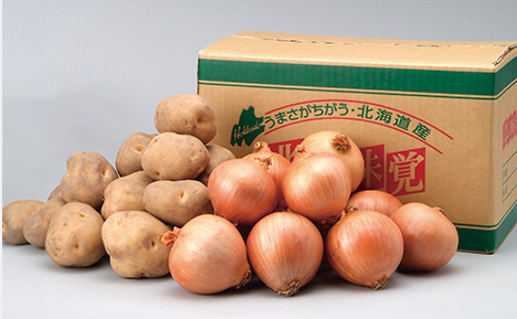 北海道 野菜2点セット