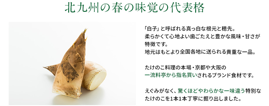 北九州の春の味覚の代表格