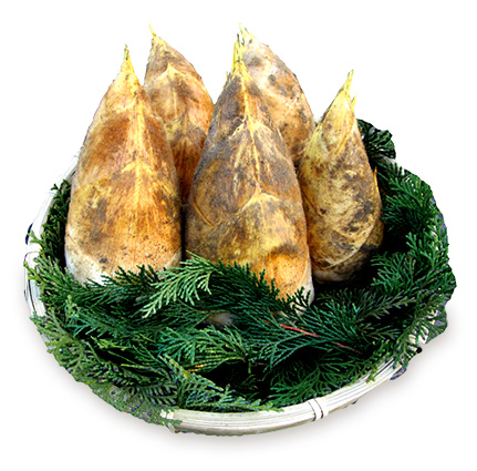 合馬産筍（生）