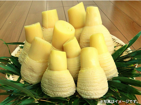 合馬産筍（ゆがき）