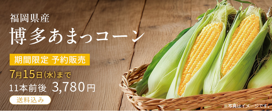 福岡県産 博多あまっコーン