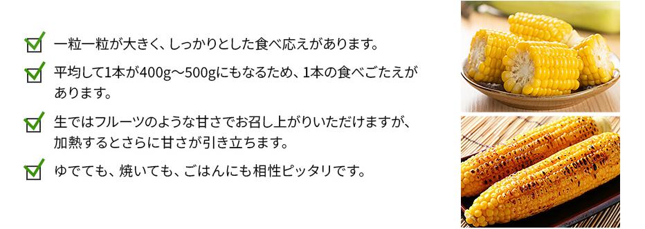 博多あまっコーンの特徴