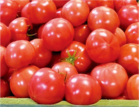 若松水切りトマト（2kg）4,536円（税込）送料込み