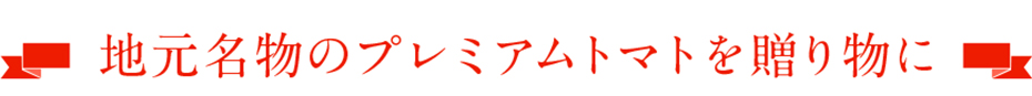 地元名物のプレミアムトマトを贈り物に