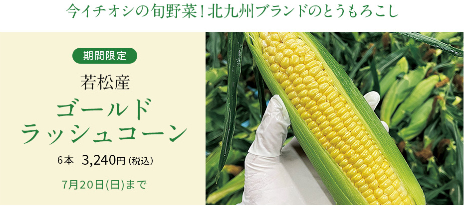 若松産 ゴールドラッシュコーン 6本 3240円
