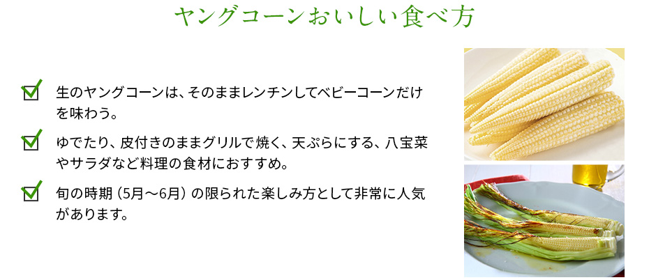 ヤングコーンおいしい食べ方