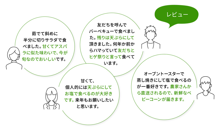 ヤングコーン レビュー